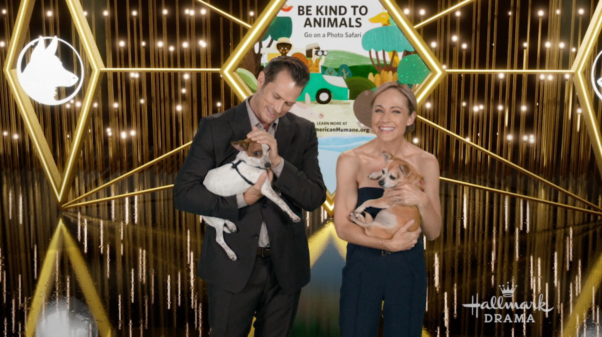 Hero Dog Awards Set